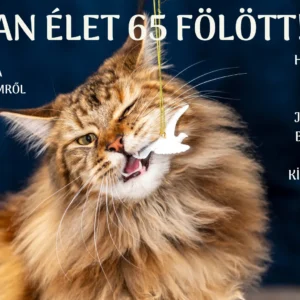 Van élet 65 fölött - tragikomédia az örök szerelemről spirit alkotóműhely