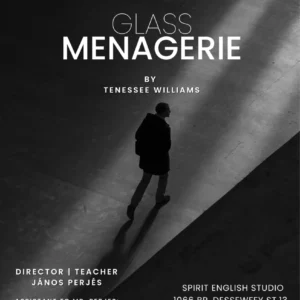 glass-menagerie-english-theatre-Budapest