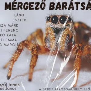 A mérgező barátság - vígjáték - a Spirit Alkotóműhely előadása Budapest